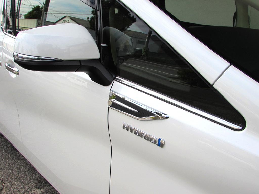 BRIGHTZ Vellfire 30 35 Chrome Fender Garnish Carbon Style AGH30W AGH30W GGH30W GGH35W AGH GGH AGH30 GGH30 GGH35 H30 H35 Vellfire Vellfire Vellfire