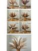 Artistic Retro Reed Dried Flower Bouquet for Home or Store Display