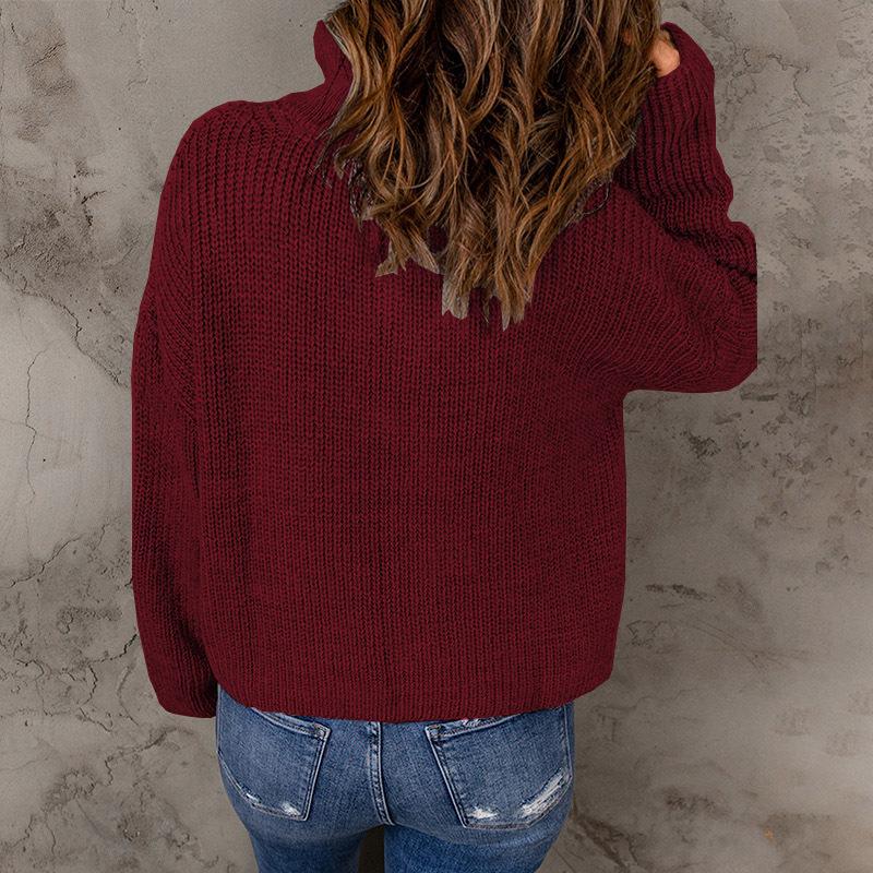 Women's Fashion Casual Fall Winter Solid Color Print Long Sleeve High Neck Sweaters