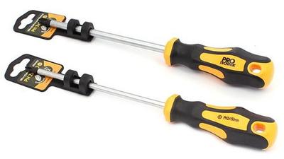 PRO-TECHNIK Hardened Screwdriver PZ 2x100 Cr.V
