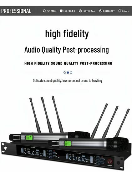 Wireless Professional Microphone Set with Anti-Howling for Karaoke, Meetings, and Performances