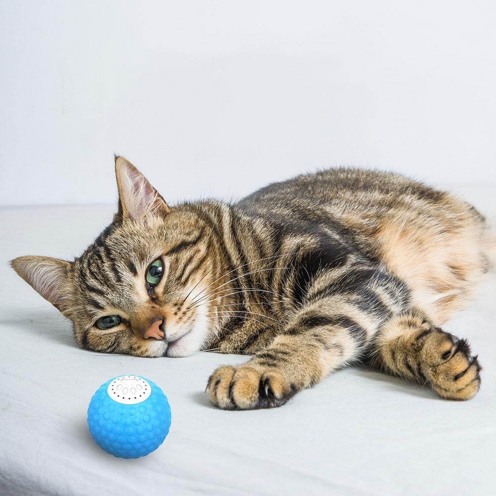 

Водонепроницаемый интерактивный кошачий мяч издает звук, умная интерактивная игрушка, новый умный кошачий мячик