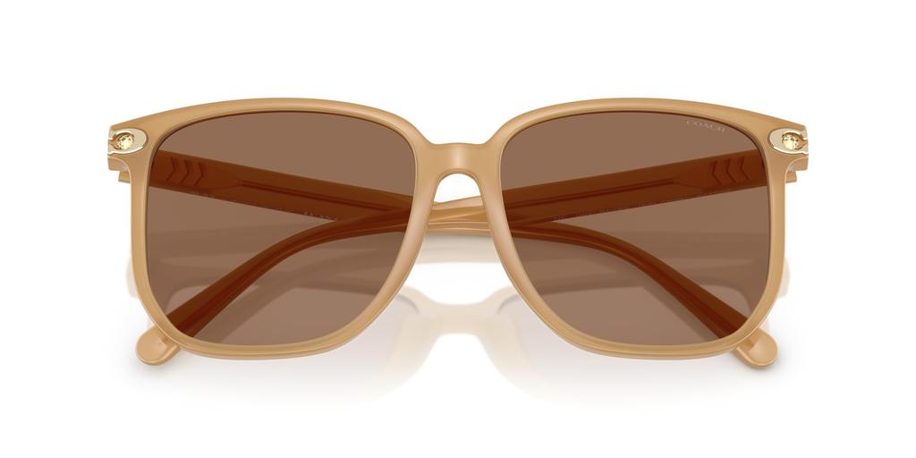 Sunglasses 0HC8413BD MILKY TEA 58 [Coach]