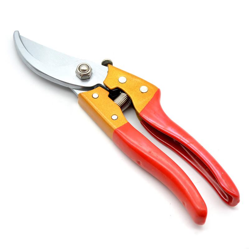 Guan Shi Fruit Tree Pruning Shears