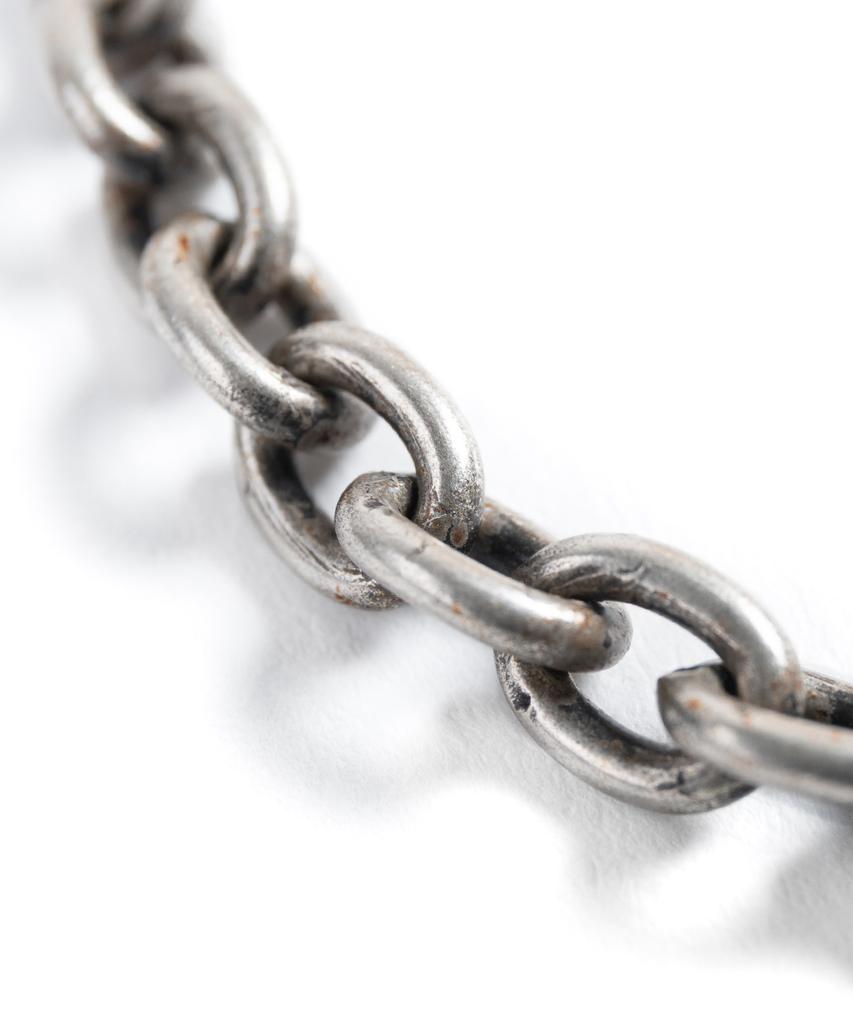 Wild Bricks Th Link Chain Bracelet (Silver)