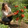 Tomato Cage 64 Inch Square Heavy Duty Stakes Cucumber Trellis Plant Cage Support for Climbing Vine Flower Vegetable Fruit Indoor