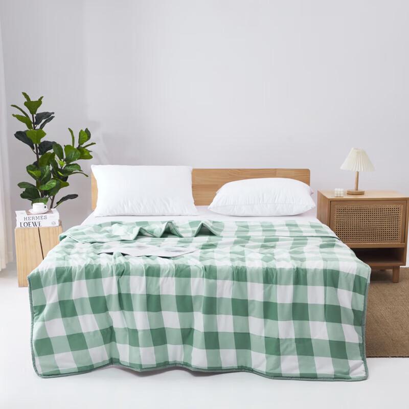 Pierre Paul Ice Cream Antibacterial Summer Quilt
