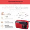 Newmine N63 Portable Radio CN plug (adapter included)