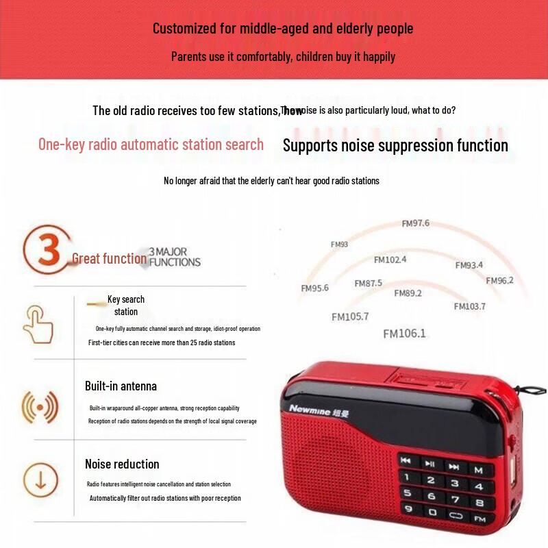 Newmine N63 Portable Radio CN plug (adapter included)