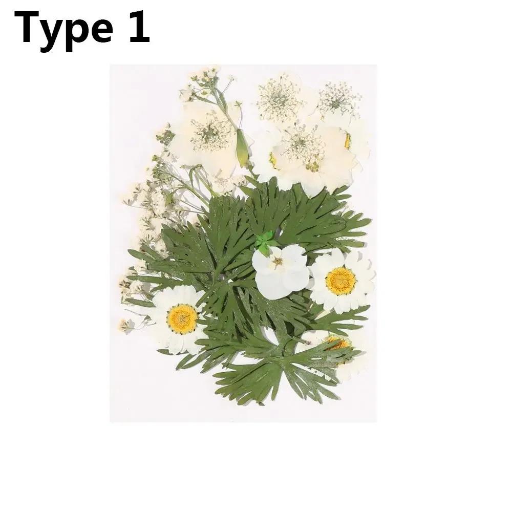 Dried Flowers UV Resin Decorative Natural Flower Stickers 3D Pressed Dried Flowers Beauty Decal Nail Art Epoxy Mold Filling