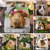Guinea Pig Bedding Set Cute Mouse 3D Duvet Cover Animal Comforter Cover for Kids Boys Girls Teen Soft Twin Polyester Quilt Cover