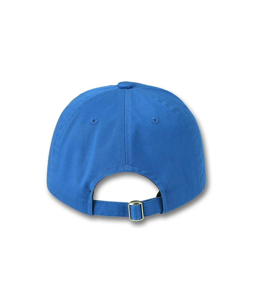 DOLPHIN WAVE APPAREL Oval Dolphin Ball Cap Blue