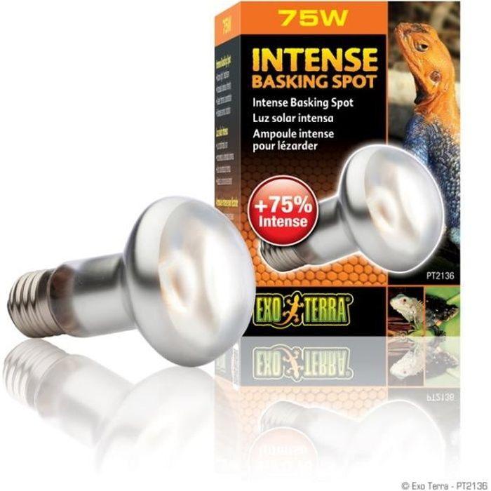 Lampe pour Caméléon - Exo Terra - Intense Baskingspot 75w - Blanc