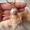 Elegant Pet Fur Memory Jar Cat Hair Storage Bottle Transparent Keepsake Keychain Memorial for Collecting And Dog Gift Pets