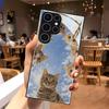 Gehärtetes Glas Handyhülle für Samsung Für Galaxy S26, S21, S22, S23, S24, S25, FE, Ultra und Plus Serie — Süßes Kätzchen Design