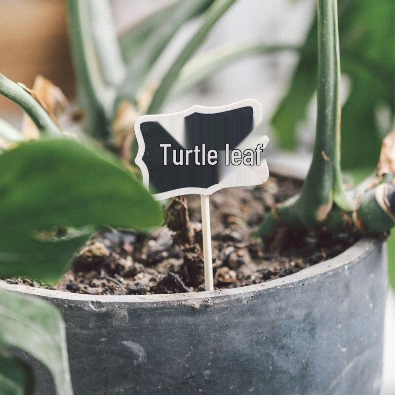 Garden Plant Labels (5-piece Set)