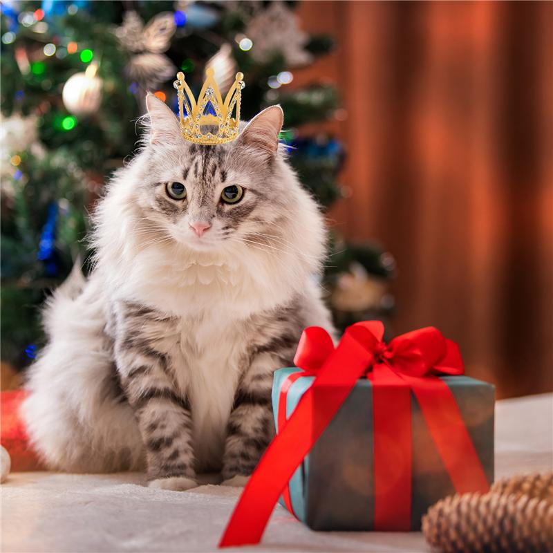 Good-10 Pcs Tiny Baby Small Rhinestone Tiara Crown For Flower Arrangements Shower Birthday Wedding Decor