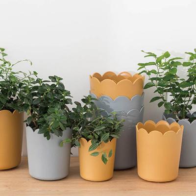 Flowerpot All Match Bright-colored Plastic Petal Edge Large Opening Flower Planter Home