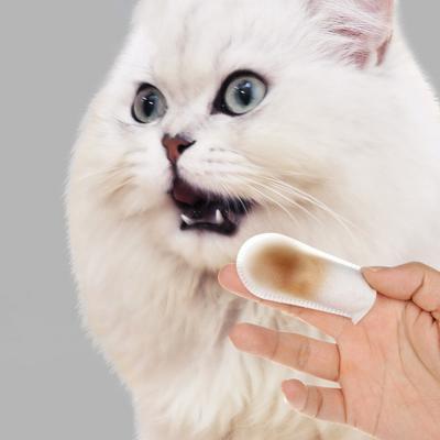 50 sztuk/pudło Puppy Cat Dog Dental Oral Czyszczenie zębów Pielęgnacja Wet Wipe Pet Supplies