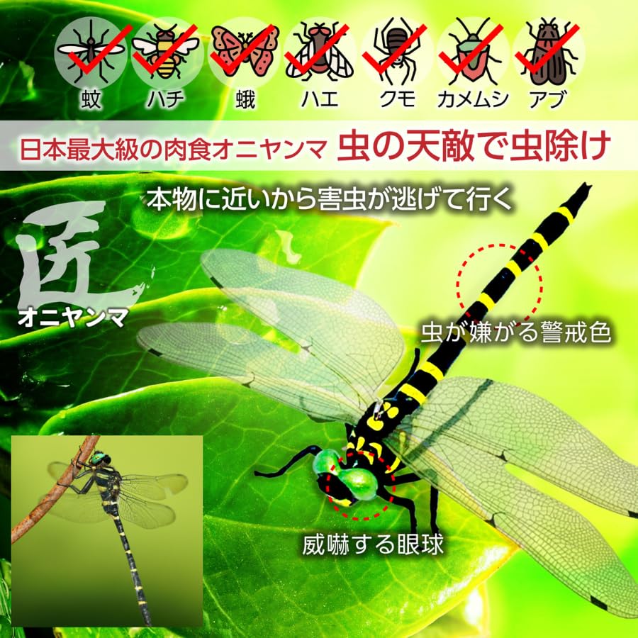 Od outdoor Oniyanma repelent proti hmyzu 14cm repelent proti komárům kempování vážka repelent proti hmyzu Oniyanma velký repelent na včely vážka hmyz hmyz
