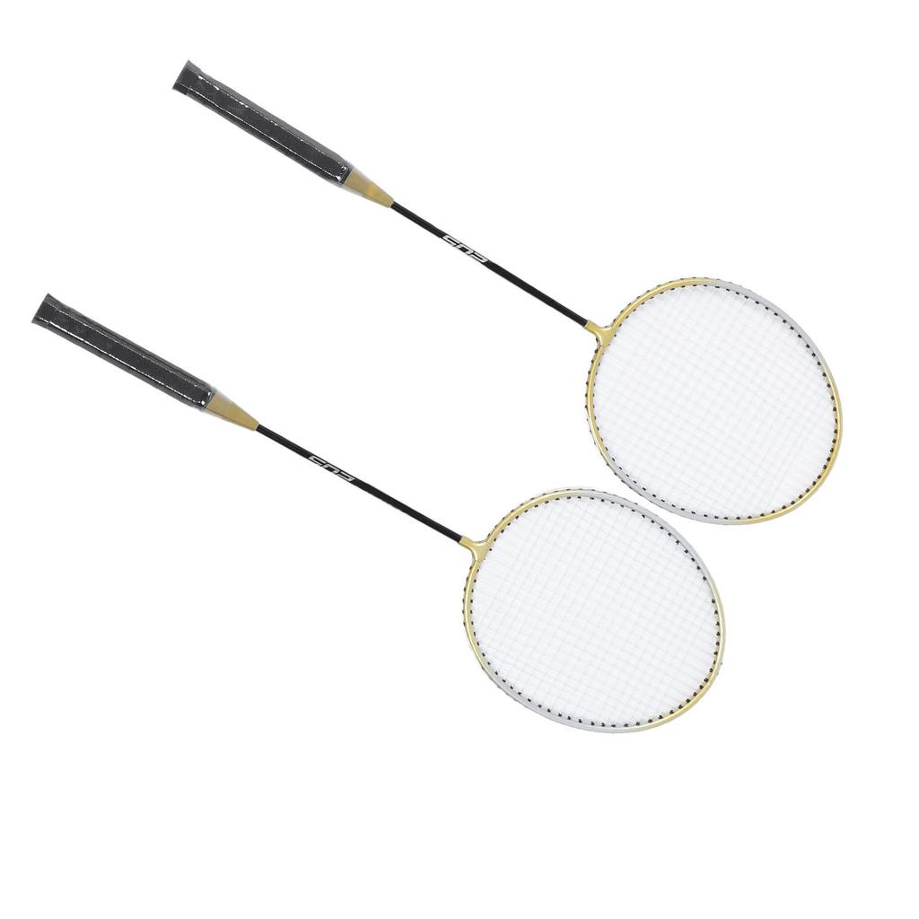 Alloy Badminton Rackets Set of 2 Adults Teenager Lightweight Badminton Racquets with Bag for Entertainment Training