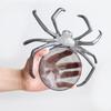 Exquisite Sweets Holder Spider Shape Snack Storage Props Trick or Treat Fruit Bowl  Party