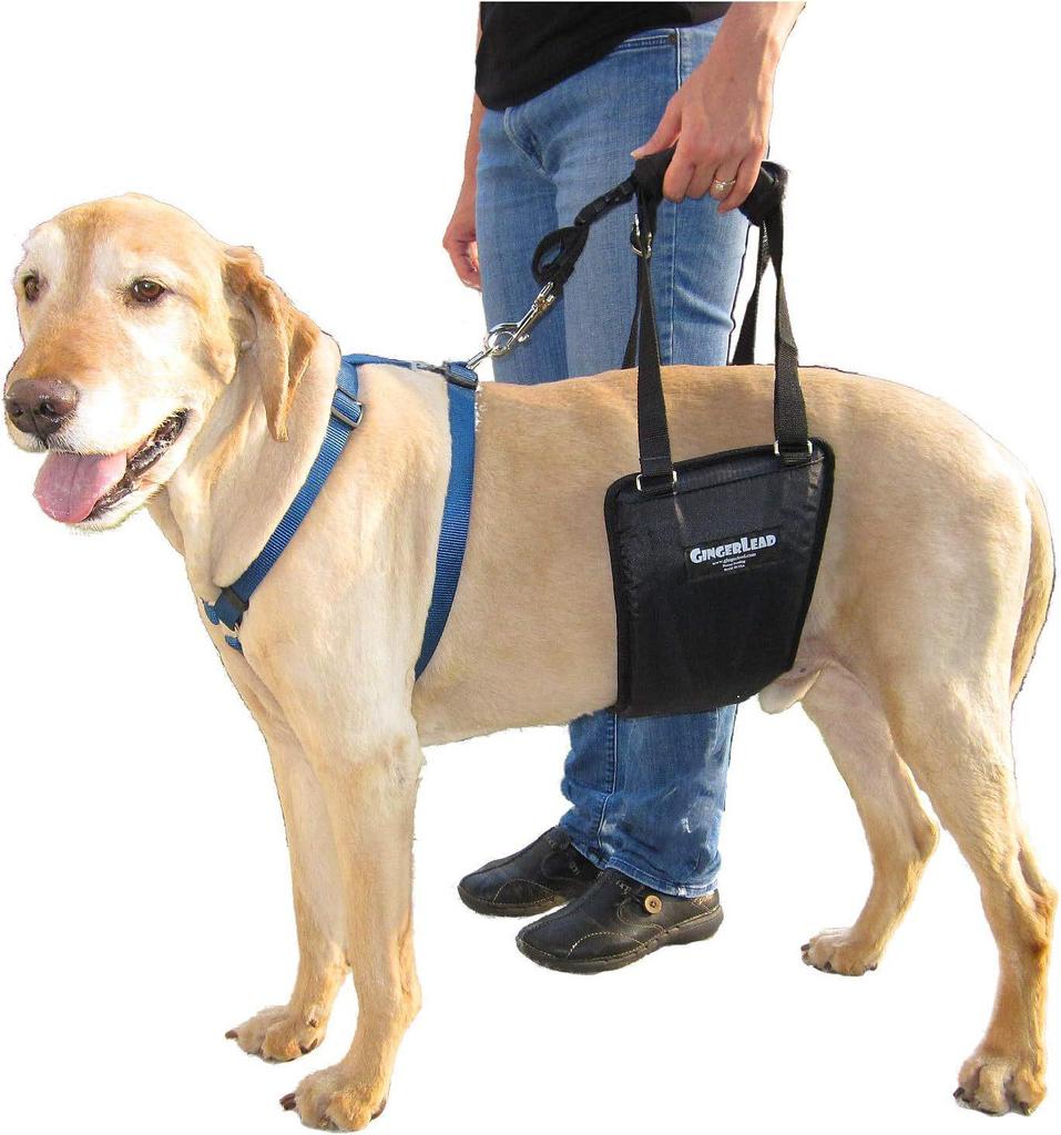Corgi Mobility Aid: Cross-Border Pet Wheelchair for Disabled or Post-Op Rehabilitation