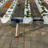 Hydroponic Strawberry Growing Trough: Soilless Cultivation Equipment for Agriculture
