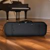 Instrumente cu coarde – Accesorii pentru instrumentele cu coarde