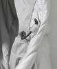 Phyps Motorcycle H-Tech Dimensional Down Puffer Jacket Light Gray