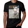 Bunny TShirt Soft Durable Cotton TShirt