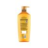 L'Oreal Paris Extraordinary Oil Nourishing Shampoo For Dry & Dull Hair, 650ml