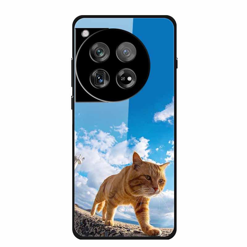 Personalized Seven-Colored Tempered Glass Phone Case for OnePlus 12 - Unisex