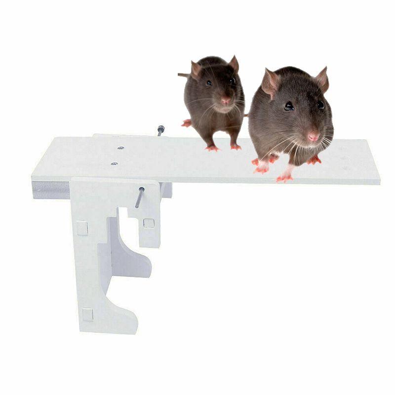 Mouse Trap Catch Rat Trap Catch Walk The Plank Humane Bucket Mice Auto New Reset