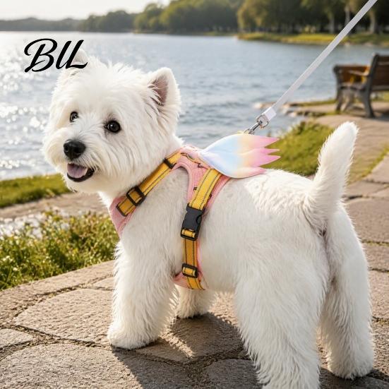 Durable Metal Traction Ring No Pull Dog Harness with 5Ft Leash, Cute Colorful Wings Harness, Adjustable Medium Walking Vest Reflective Handle