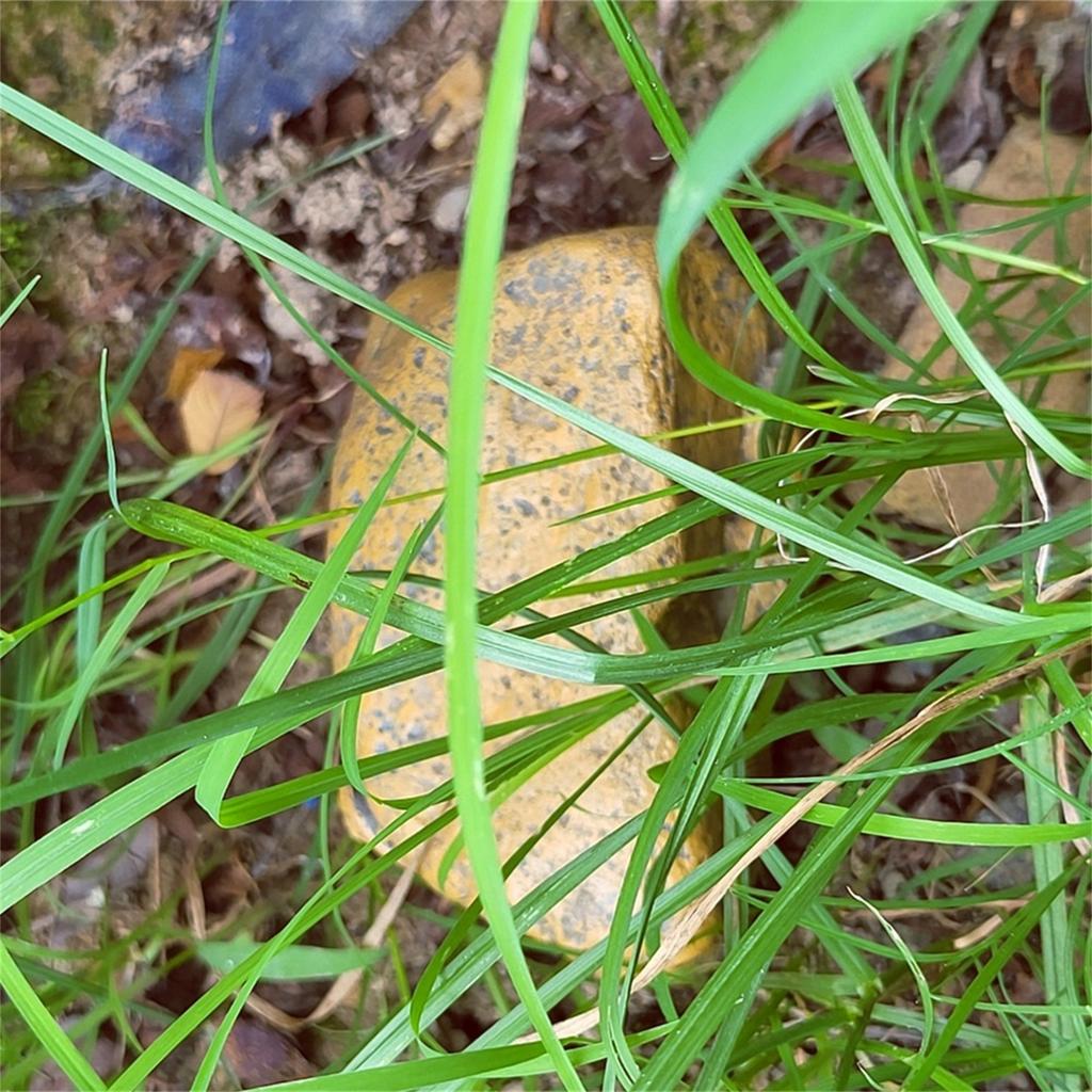 Money Secret Home Diversion Simulation Stone Storage Box Safe Container Hiding Spot ???Hidden Storage Secret Compartment