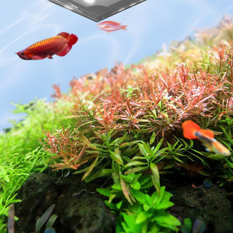 LED-Aquarienlicht, zum Anklipsen, mit einstellbarer Helligkeit, 360° drehbar, Vollspektrum