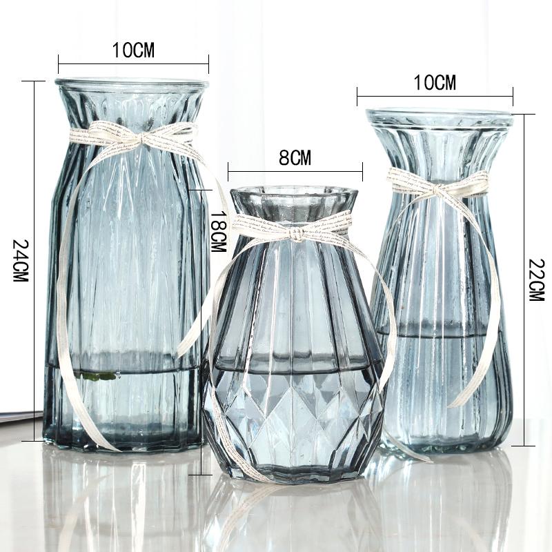 Nordic Transparent Glass Vase for Hydroponic Plants and Home Decoration