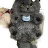 Joli Bâton Torsadé Haute Beauté Chat Fait Main DIY Tissage Ornement de Bureau Pendentif de Sac Cadeau pour Amis