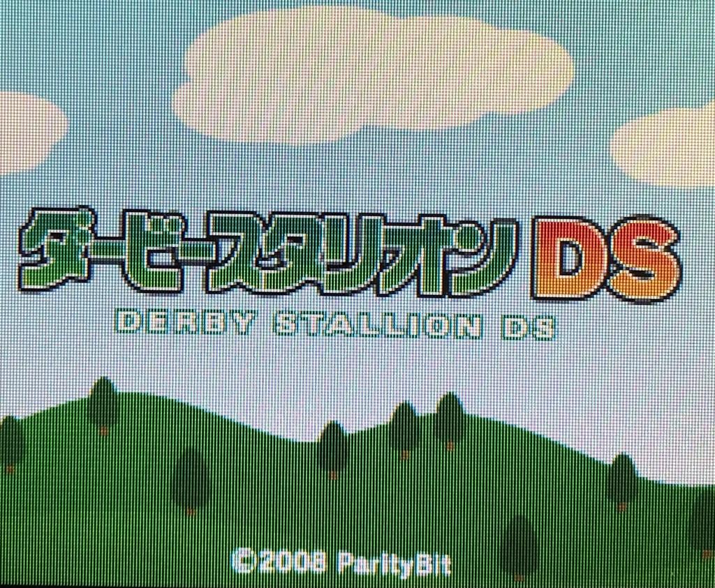 Derby Stallion DS