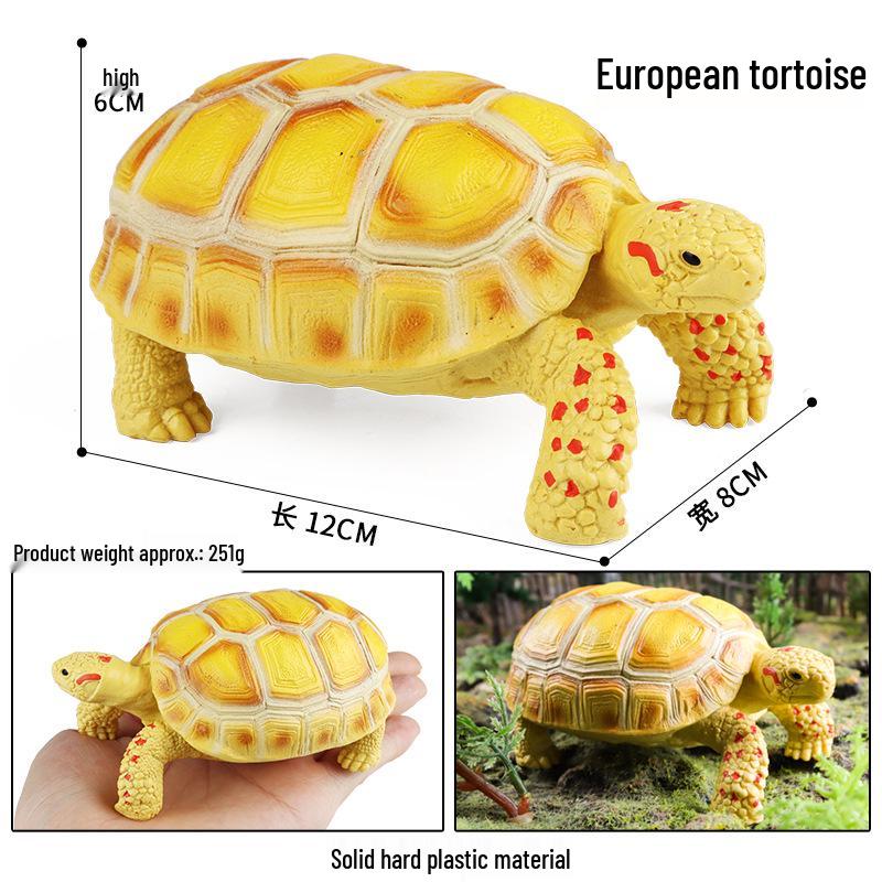 Children's Cognitive Marine Animal Models: Sea Turtle and Tortoise Toys