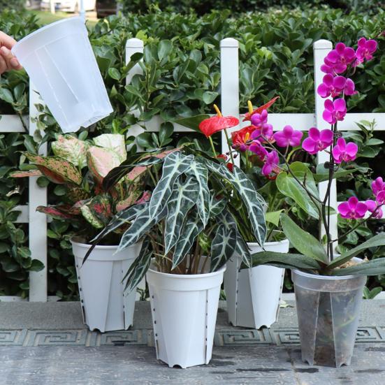 Orchid Pot with Saucer Flowerpot with Side Ventilation And Drainage Holes Rot Prevention Plant Pot for Phalaenopsis Roses Indoor Outdoor Use