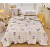 New Milk Fiber Printed Blanket 300G Cloud Mink Velvet Cover Blanket