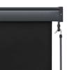 Anthracite Outdoor Roller Blind 180 x 250 cm Fabric and Aluminum