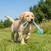 Cotton Rope & Rubber Dog Chew Ball, Treat Dispenser Toy. 18x13cm, Durable, for Boredom & Teething