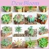 Suculenta Artificial Vibrante DIY Planta Falsa Para Decoração de Jardim Realista