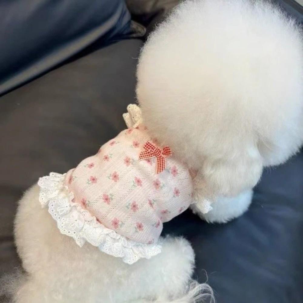 Short Style Puppy Vests Lace Trim Cat Camisole New Princess Dress  Summer Wear