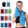 Sommer Kühl Ausrüstung 90x30cm Handtuch für Gesicht, Chilly Sport mit Aufbewahrungstasche Wiederverwendbares Eis und Karabiner, Tragbare Kälte Nackenband Training
