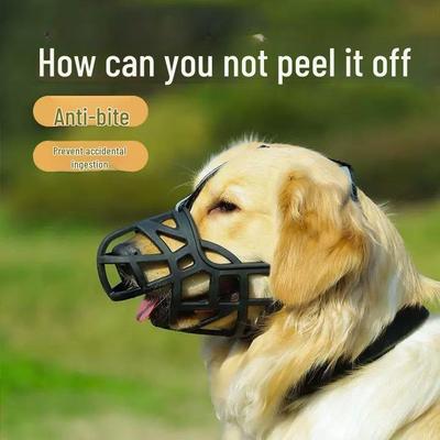 Cani – Attrezzature per l'addestramento dei cani