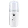 Nano Mister 30 ml Mini Face Humidifier Portable Facial Sprayer USB Rechargeable Handy Skin Care Machine for Face Hydrating